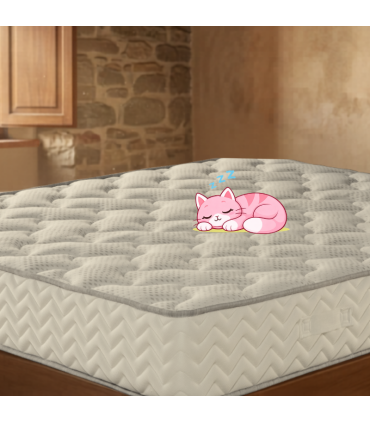 Mattress on offer with memory pillows and mattress cover as a gift